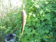 100_5744.jpg