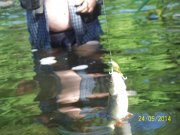 100_5746.jpg
