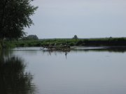IMG_0032.JPG