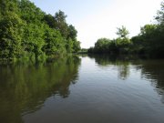 IMG_0009.JPG
