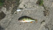 IMG_2136.jpg