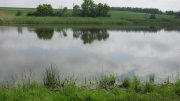 IMG_2137.jpg