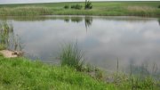 IMG_2138.jpg