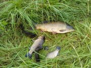 IMG_20140601_091542.jpg