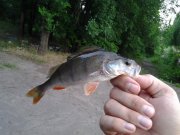 20140602_201803.jpg