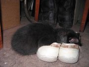 IMG_3784.jpg