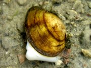 IMG_4468.JPG