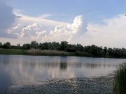 IMG_4470.JPG