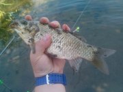 IMG_20140608_130812.jpg