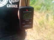 IMG_20140608_135241.jpg