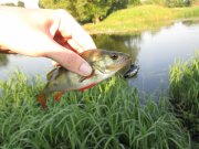 IMG_0947[2].JPG