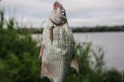 20140603_Fishing_BasivKut_001.jpg