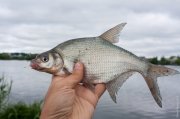 20140603_Fishing_BasivKut_007.jpg