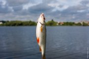 20140603_Fishing_BasivKut_012.jpg