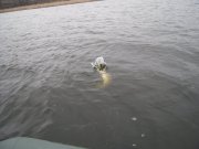 DSCN4998.JPG