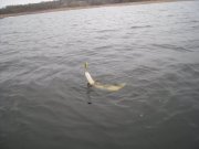 DSCN5001.JPG