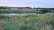 IMG_2168.jpg