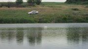 IMG_2170.jpg