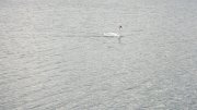 IMG_2172.jpg