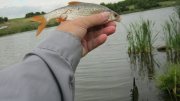IMG_2174.jpg