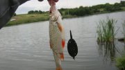 IMG_2175.jpg