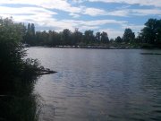 IMG_20140615_170724.jpg