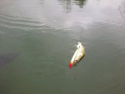 160620145813.jpg