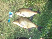 DSC00340.JPG
