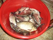 DSC00346.JPG