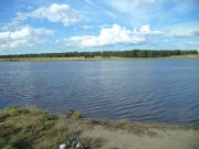 DSC00342.JPG
