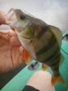 2014-06-20 16.38.33.jpg
