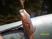 100_6037.JPG