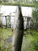 IMG_44841.jpg