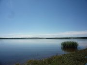 P1090241.JPG