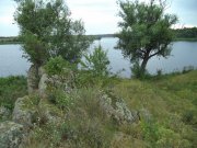 DSC00352.JPG