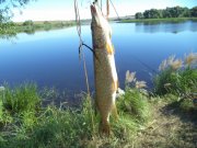 DSC00364.JPG