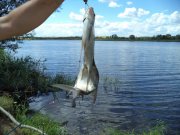 DSC00372.JPG