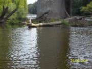 100_6078_thumb.jpg
