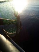 IMG_20140622_052623.jpg