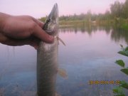 IMG_0051.JPG
