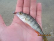 IMG_0055.JPG