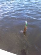 IMG069.jpg