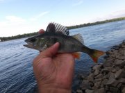 DSCF6688.JPG