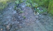 IMAG0037.jpg