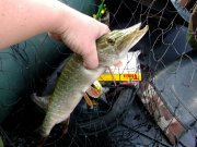 DSCF3814.JPG