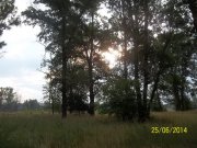 100_6109_thumb.jpg