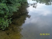100_6112_thumb.jpg