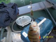 100_6114_thumb.jpg