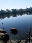 IMG_20140629_085732.jpg