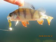 IMG_0059.JPG